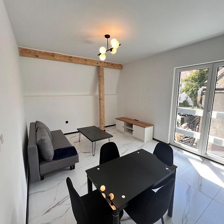 Dworskiego 74 Apartament 1 Пшемишъл Екстериор снимка